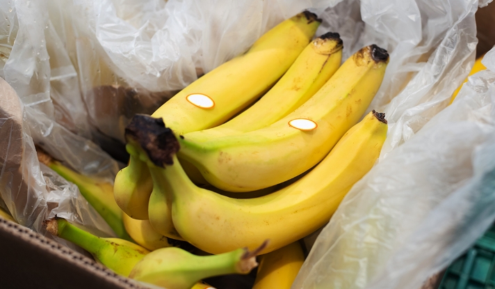 Bayern: Logistikmitarbeiter entdecken Kokain im Wert von 1 Million Euro – in Karton mit Bananen im Biomüll